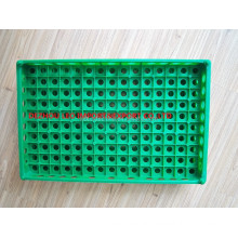 150 quail eggs plastic crate